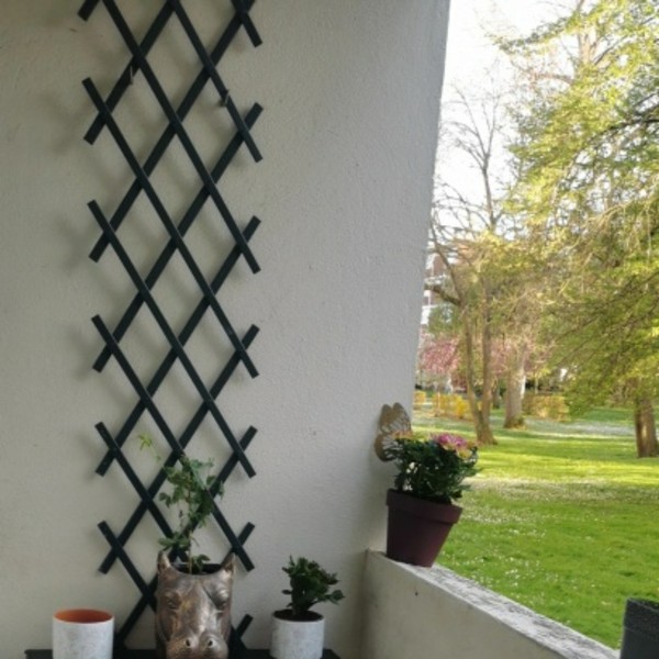Photo du logement