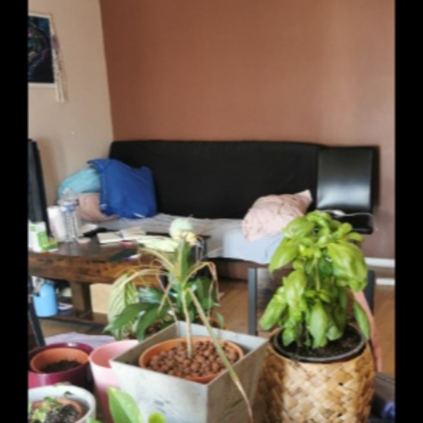 Photo du logement