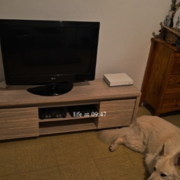 Photo du logement