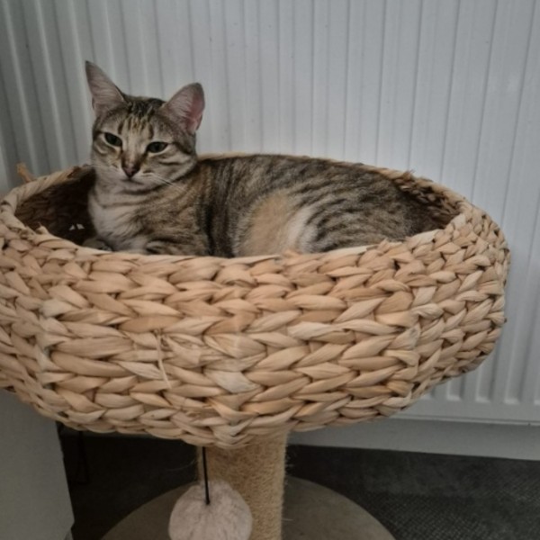 Photo du logement