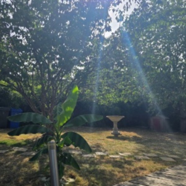 Photo du logement