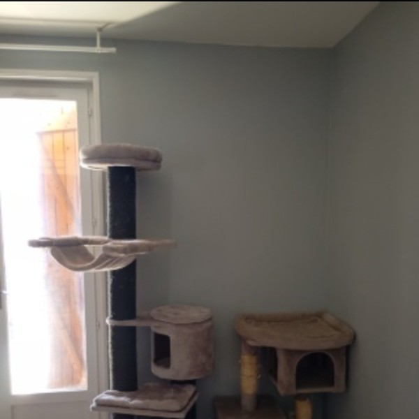 Photo du logement