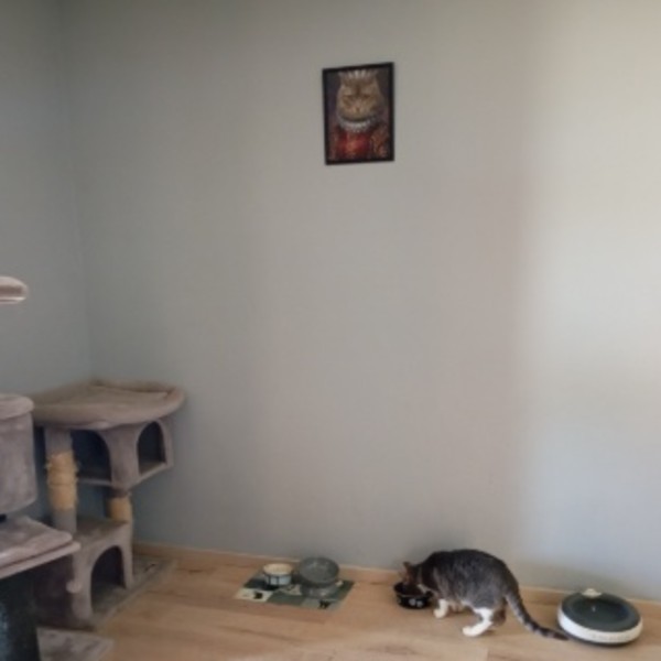 Photo du logement