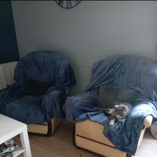 Photo du logement