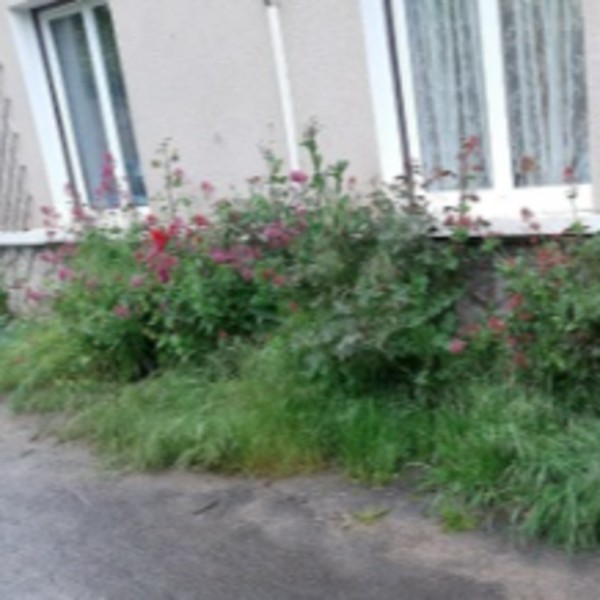 Photo du logement