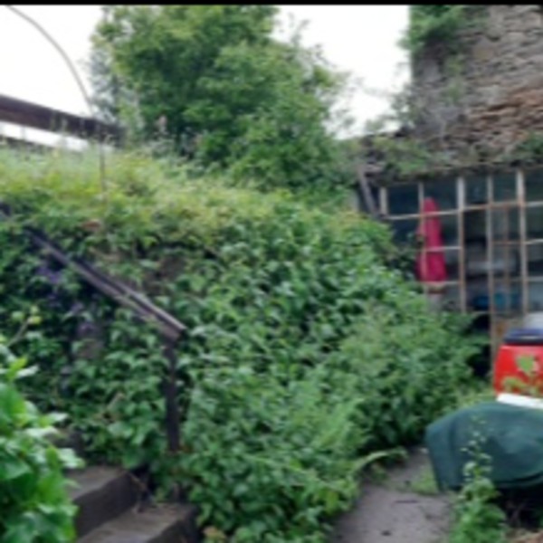 Photo du logement