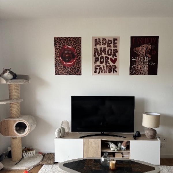 Photo du logement