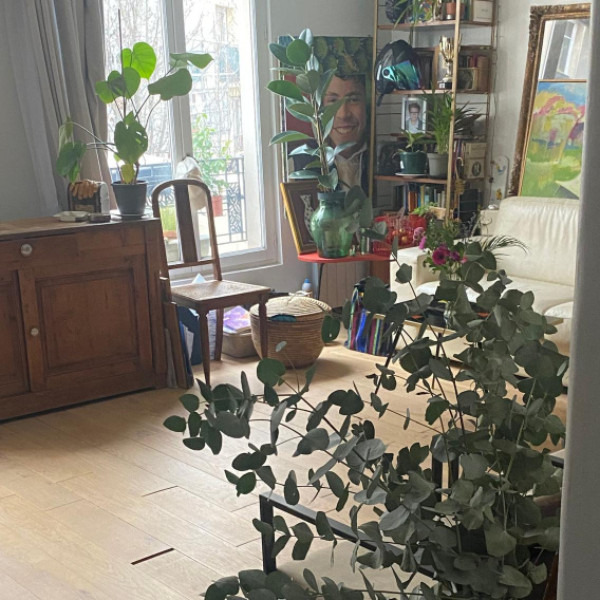 Photo du logement