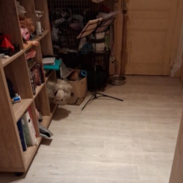 Photo du logement