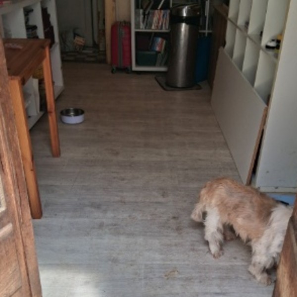 Photo du logement