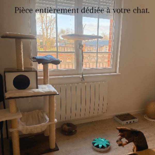 Photo du logement