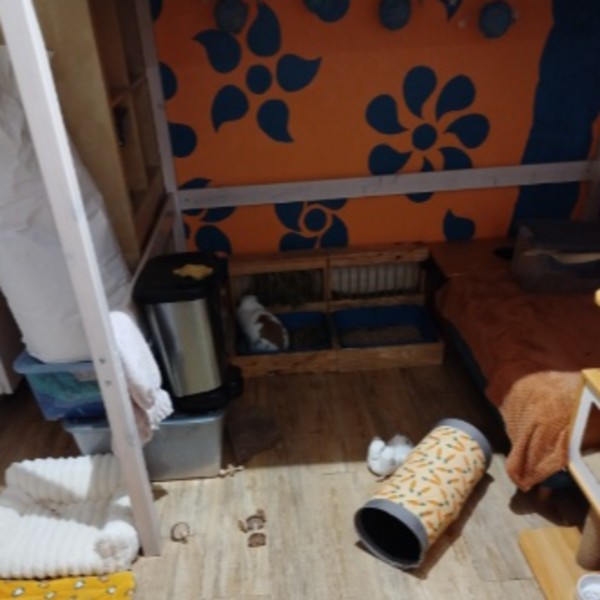 Photo du logement