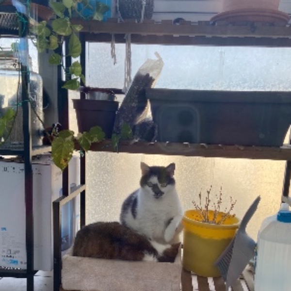 Photo du logement