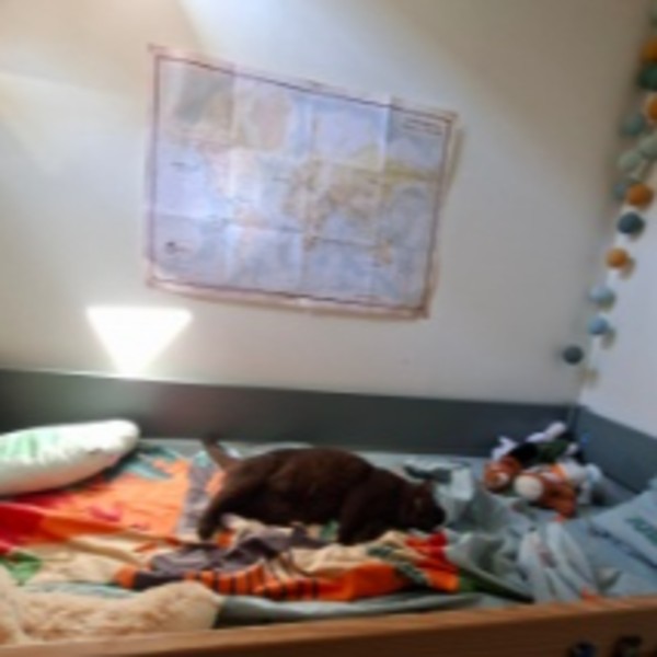 Photo du logement
