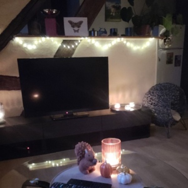 Photo du logement