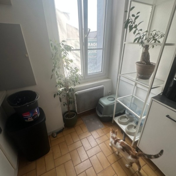 Photo du logement