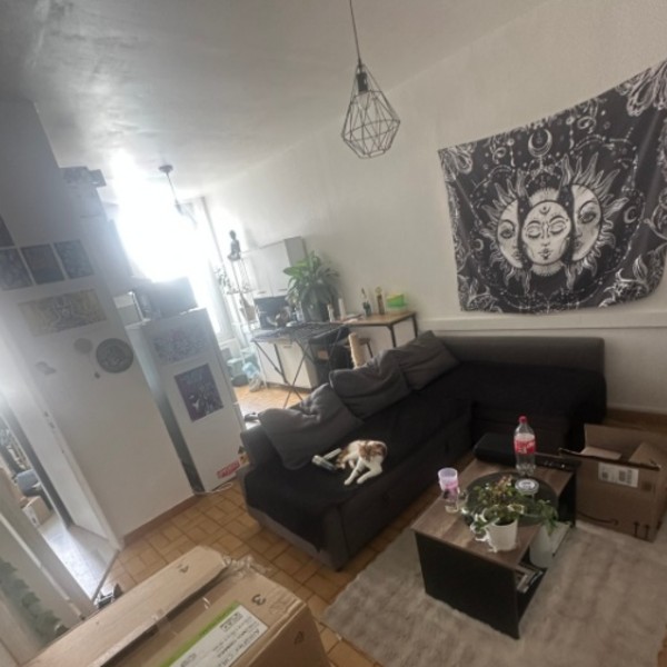 Photo du logement