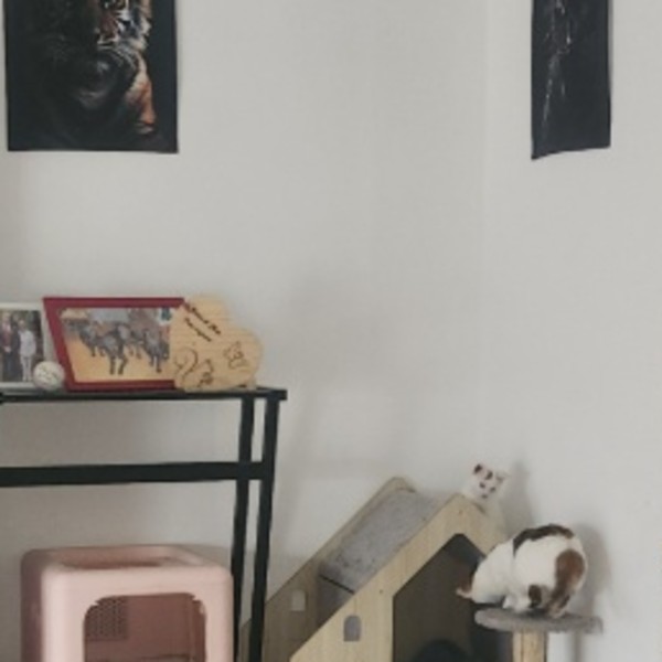 Photo du logement