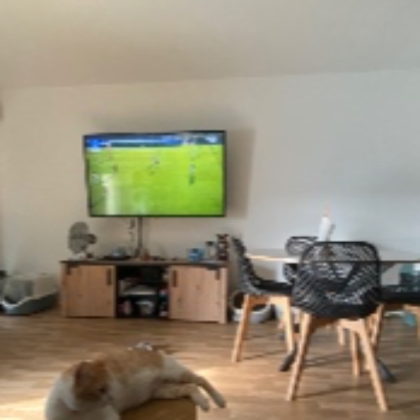 Photo du logement