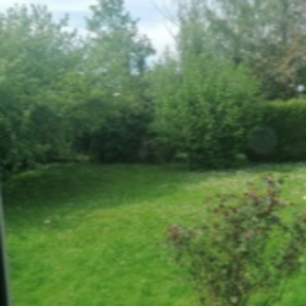 Photo du logement