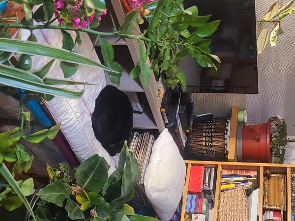 Photo du logement