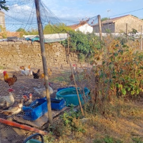 Photo du logement