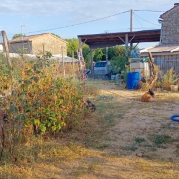 Photo du logement