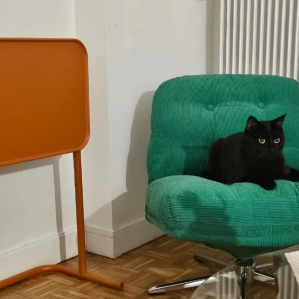 Photo du logement