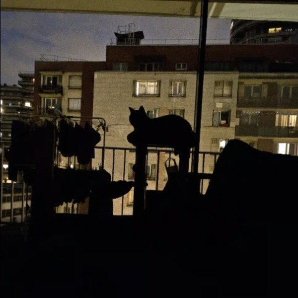 Photo du logement
