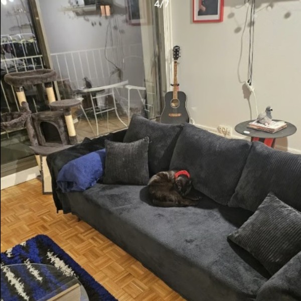 Photo du logement