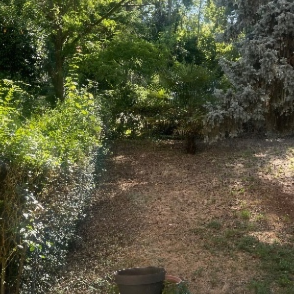 Photo du logement