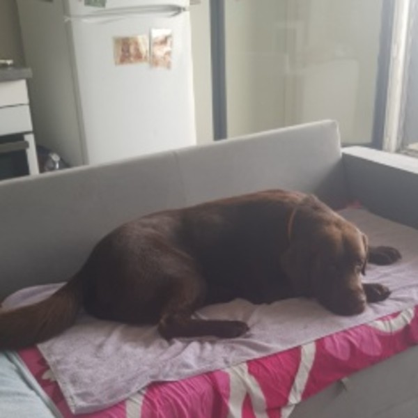 Photo du logement
