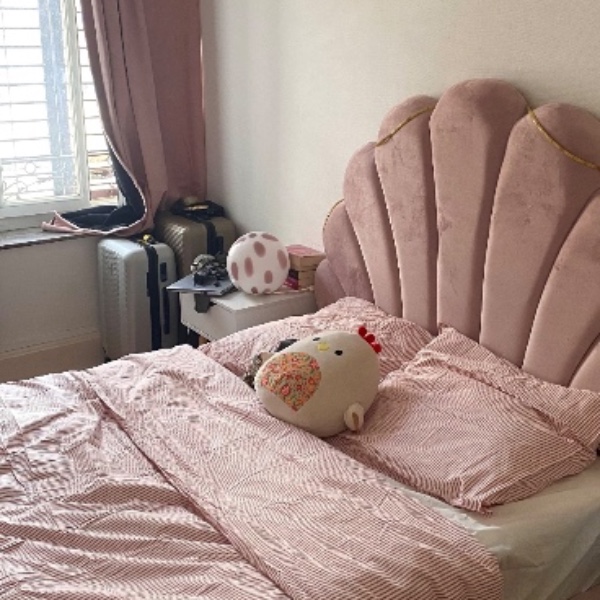 Photo du logement