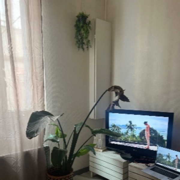 Photo du logement