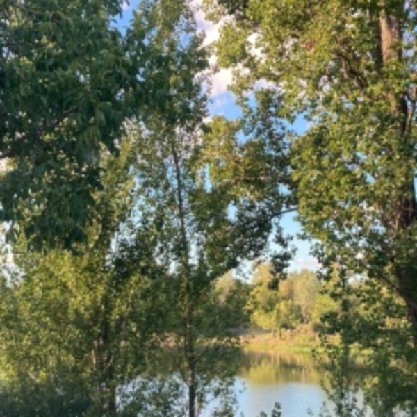 Photo du logement