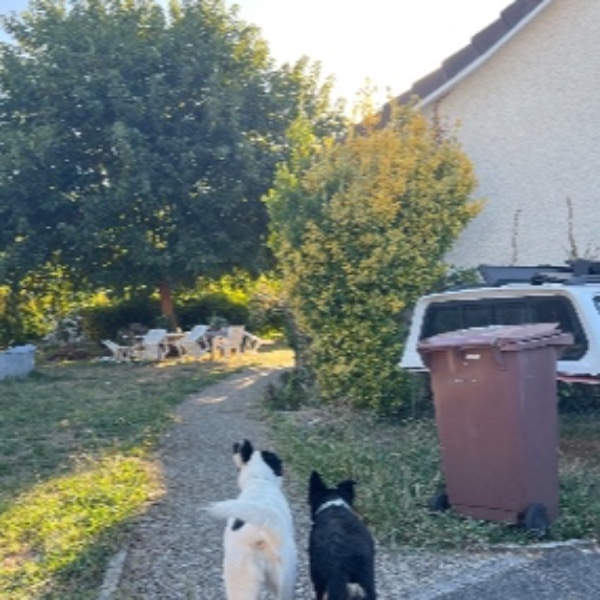 Photo du logement