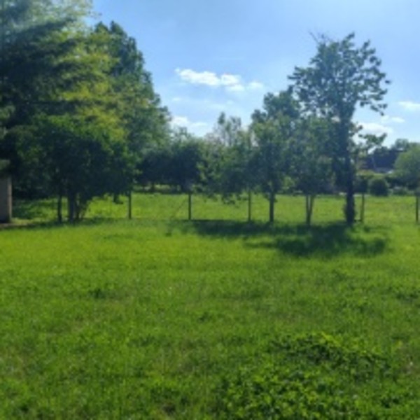 Photo du logement