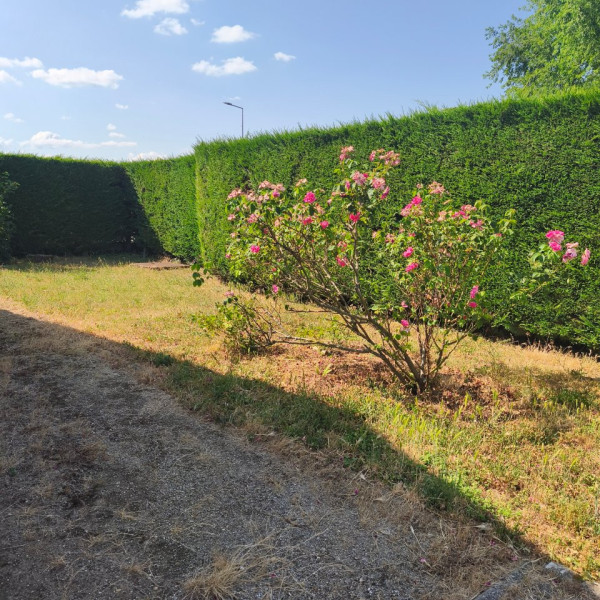 Photo du logement