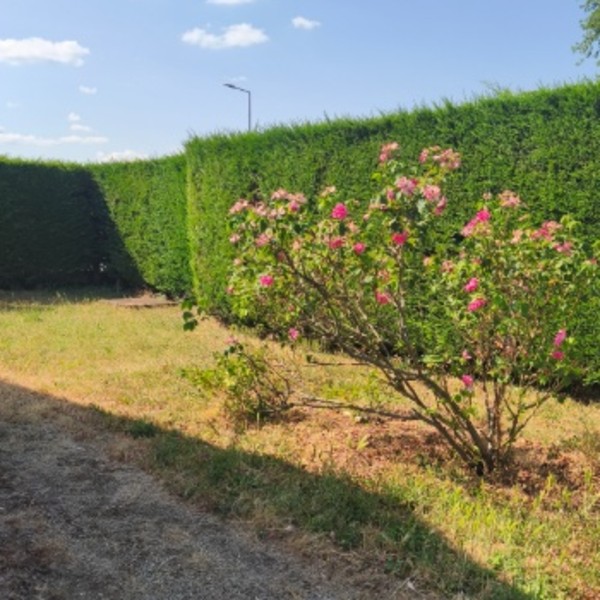 Photo du logement