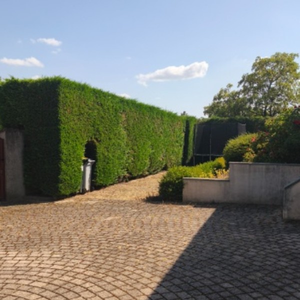 Photo du logement