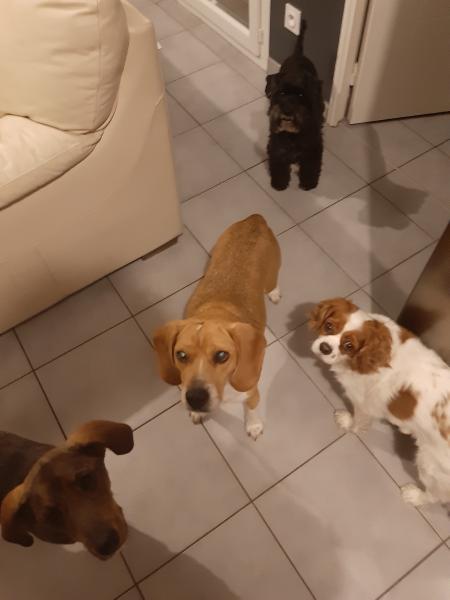 Photo du logement
