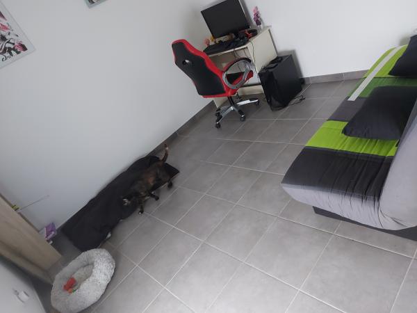 Photo du logement