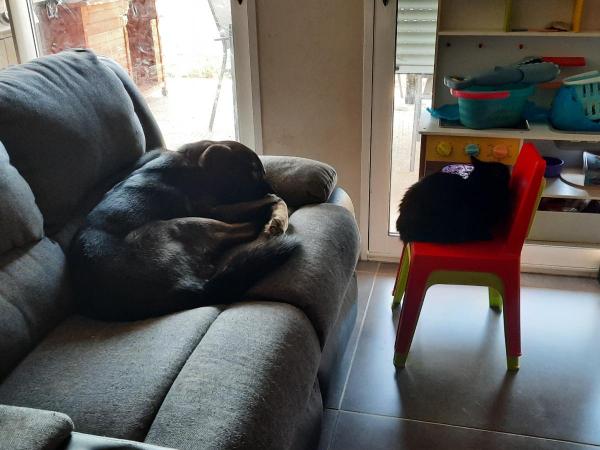 Photo du logement