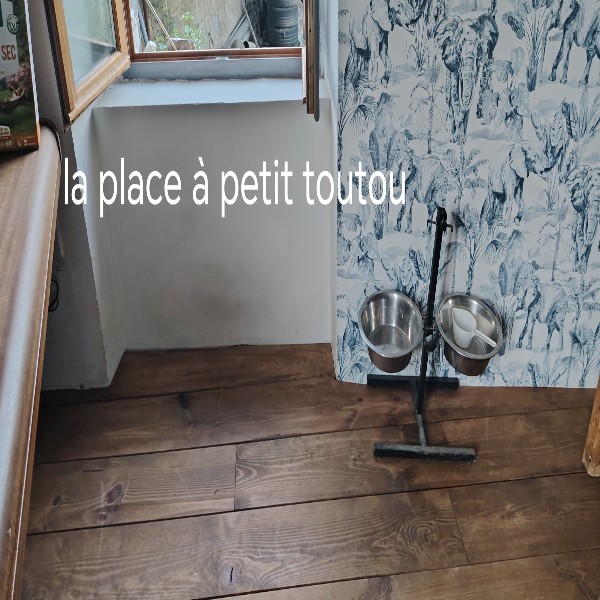 Photo du logement