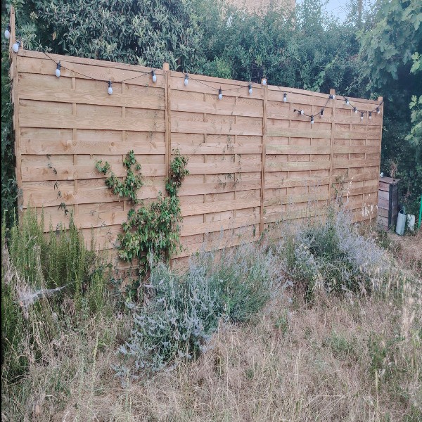 Photo du logement