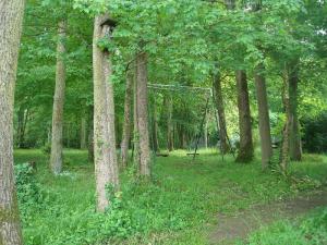 Photo du logement