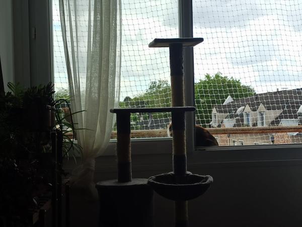 Photo du logement