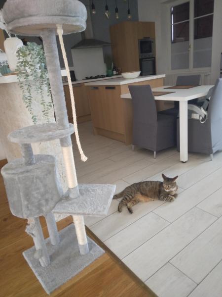 Photo du logement