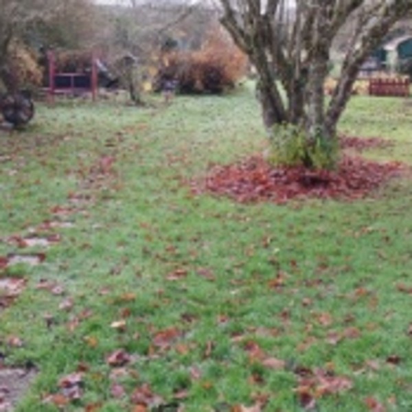 Photo du logement