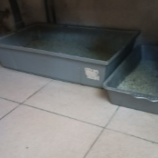 Photo du logement